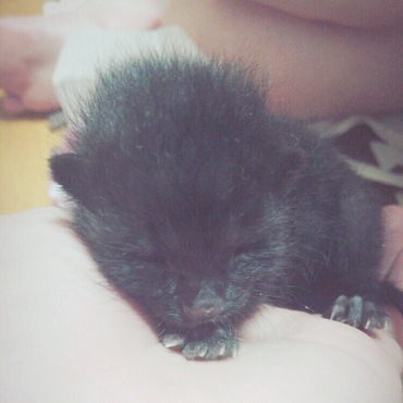 初めて出会った日