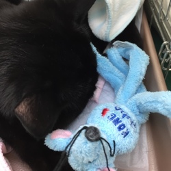 男の子から、、