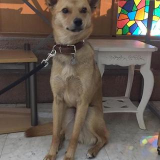 人も犬も猫も大好き、脚長も自慢です