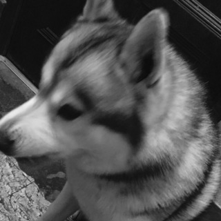 交渉中につき募集一時停止中