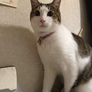 甘々のイケメン君♪