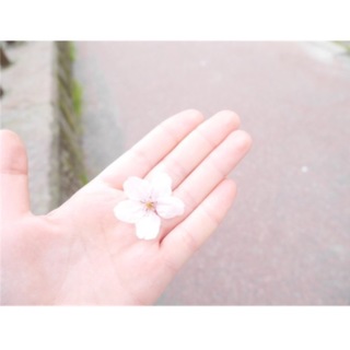 ウサギ 新しい家族になってくれる方、お願いします。