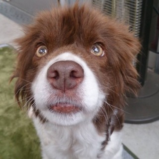 トライアル中の為募集停止致します