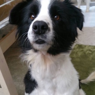 トライアル中の為募集停止致します