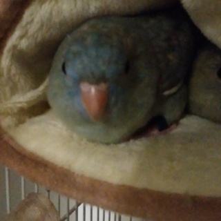 たくさんのご応募ありがとうございました！