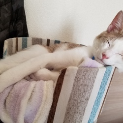 そろそろ臭いが