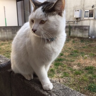 抱っこが大好き１０ヶ月の可愛い男の子