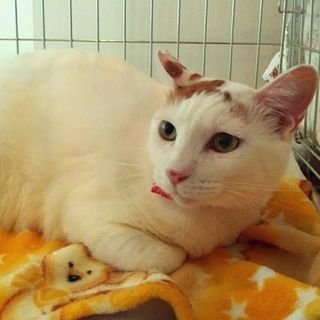 3/26銀座★ゆうくん★甘えん坊