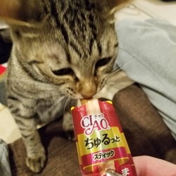 だいすきなおやつ