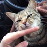 の写真