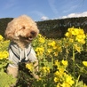 楽しいな
