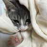 さら