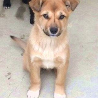 新しい家族が見つかりました☆