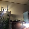 るっきょん