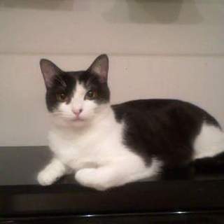 代理掲載・サトちゃん