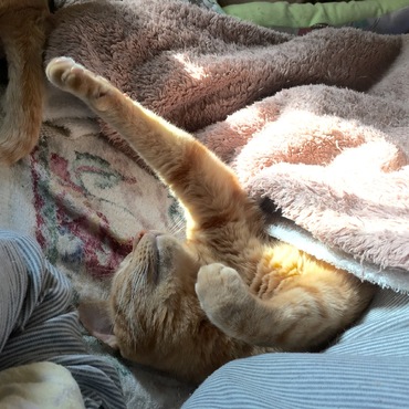 寝相の悪さは誰に似た？