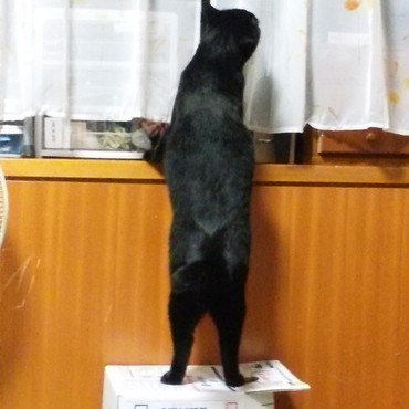 探し物は？