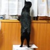 探し物は？
