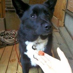 【グロ注意】みなさんも気をつけて。