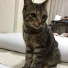 の写真