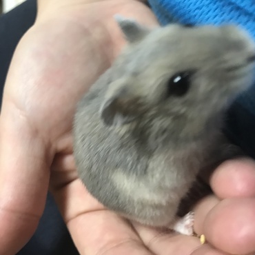 ちょっとずつ慣れてきました(^^)