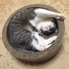 の写真