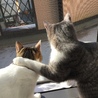 の写真