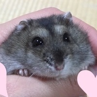 めいちゃん