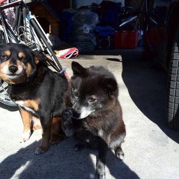 ムー&クロ 親子