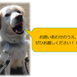 越谷レイクタウンビッグフリマ サムネイル2