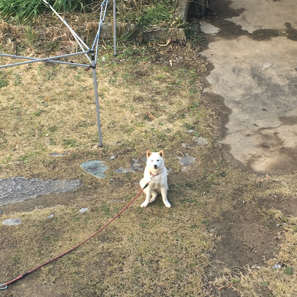まるのカバー写真