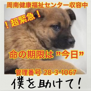 おうちが決まりました☆