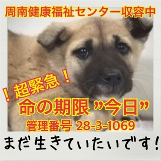 おうちが決まりました！