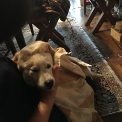 初めてのお風呂とモコモコが大好きまる君