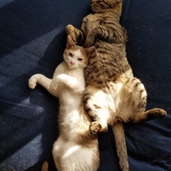 ポカポカお昼寝