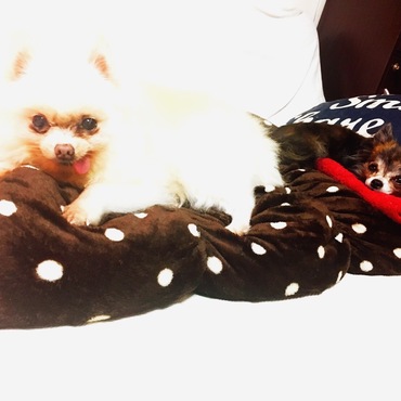 モカちゃんとミルク