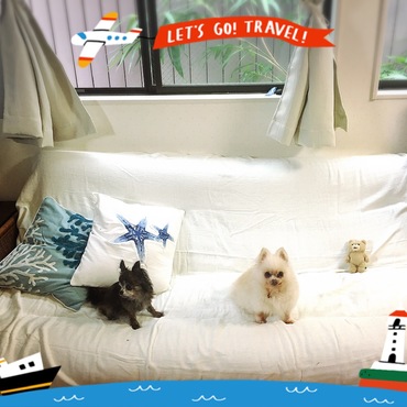 モカちゃんとミルク