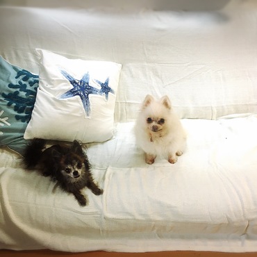 モカちゃんとミルク