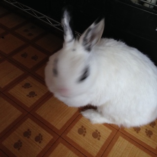 緊急にお願いしますm(__)m