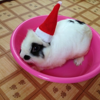 緊急てお願いしますm(__)m