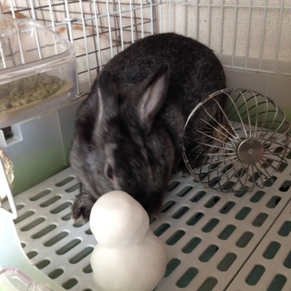 緊急！本当に困ってます。