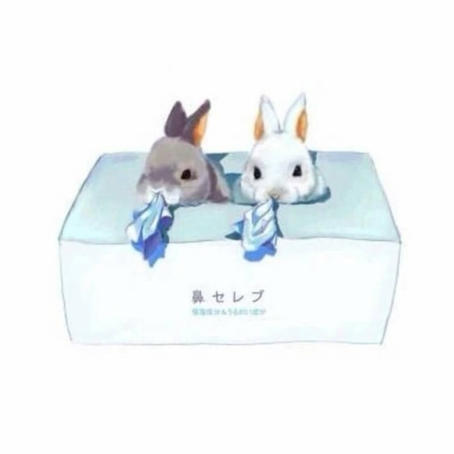 ゆきゃのカバー写真