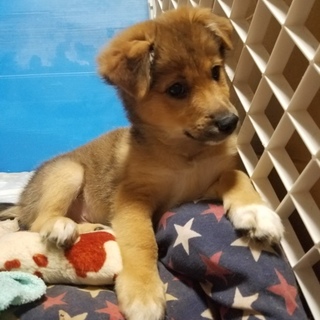 交渉中、一時中断させて頂きます