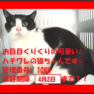 里親決定！！家族ができました(*´▽｀*)