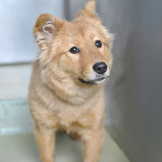 あどけなさが残るフワフワの女の子