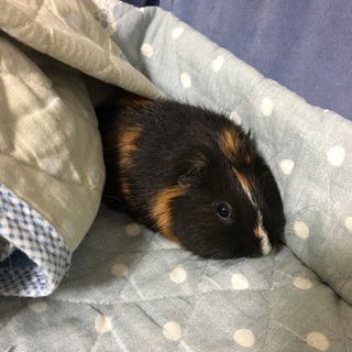 ご応募いただきありがとうございました。