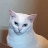 sunuけいこ