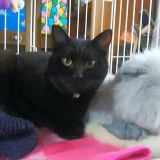 コンビニの前で保護しました