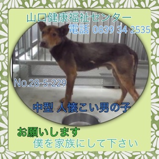 人懐っこい良い子です；＿；時間がありません