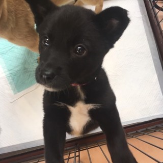 2か月小春ちゃん。